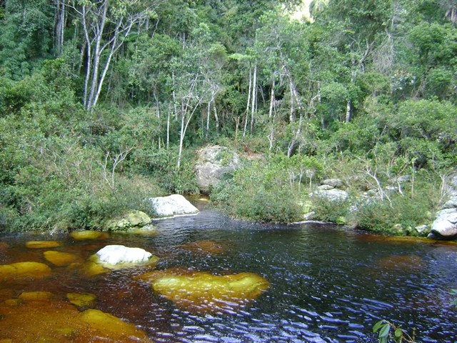 Tanque grande